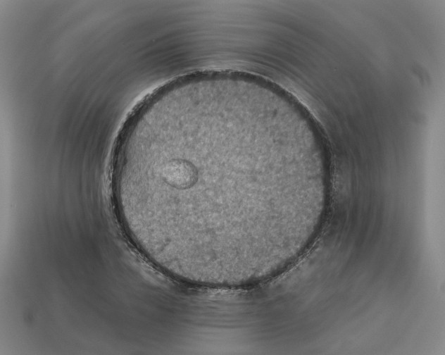 X0000113310832200910051102