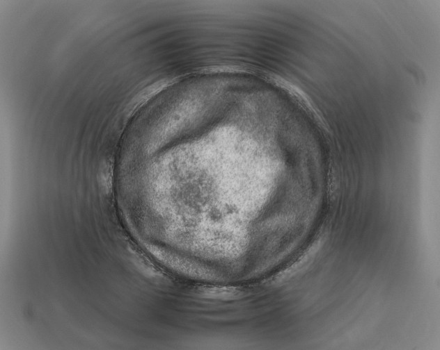 X0000113310833200910051102