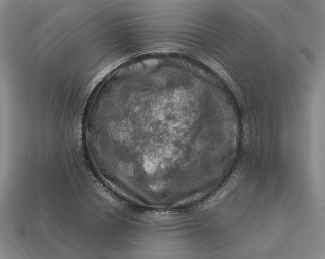 X0000113310834200910051102