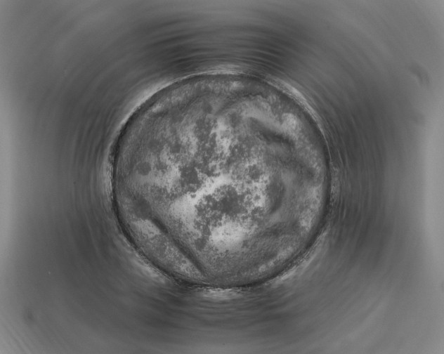 X0000113310835200910051102