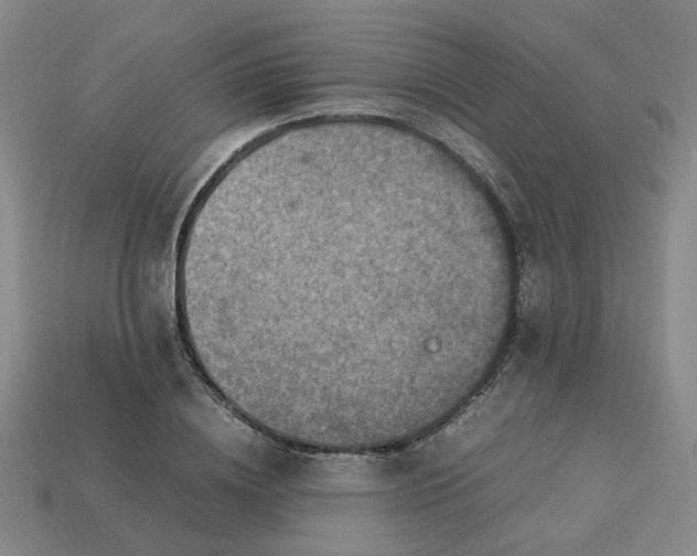 X0000113310836200910051102