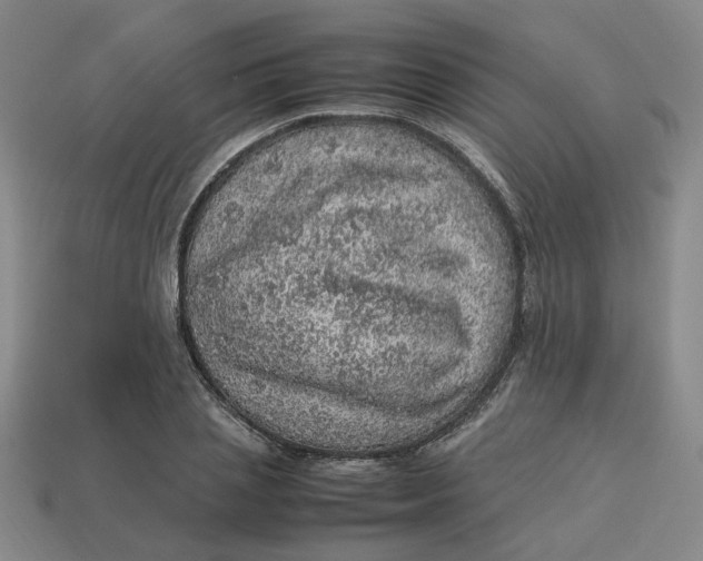 X0000113310837200910051102