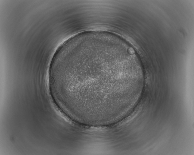 X0000113310840200910051102