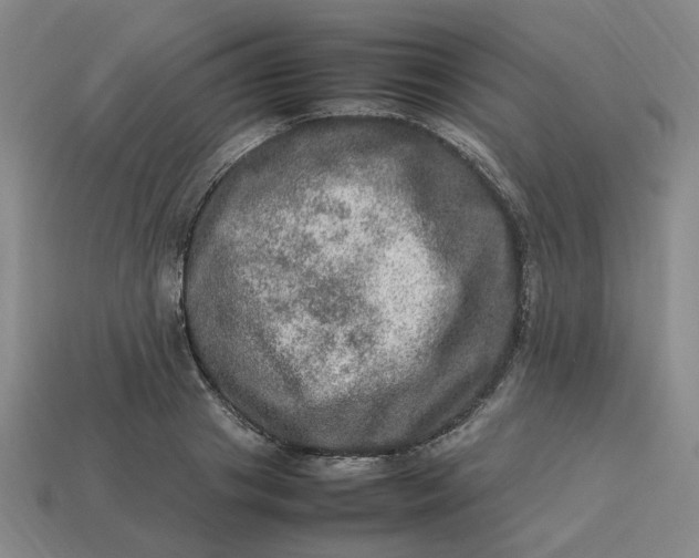 X0000113310841200910051102