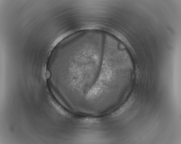 X0000113310842200910051102