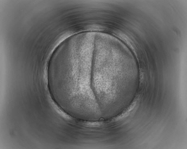 X0000113310843200910051102