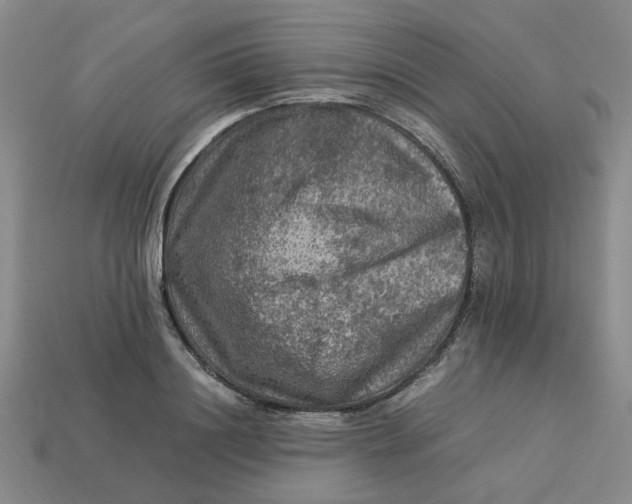 X0000113310844200910051102