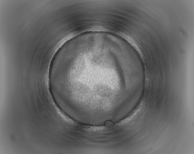 X0000113310845200910051102