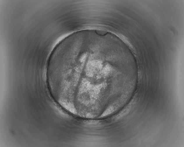 X0000113310846200910051102