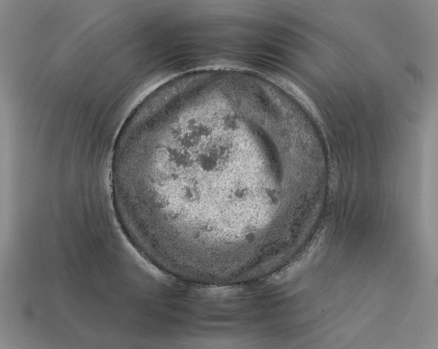 X0000113310847200910051102