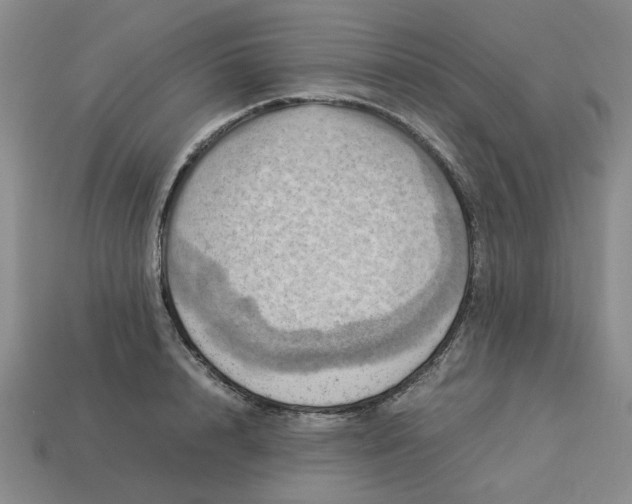 X0000113310848200910051102