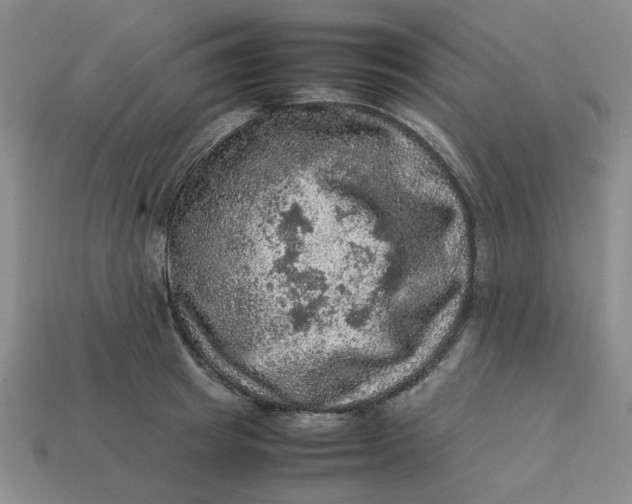 X0000113310849200910051102