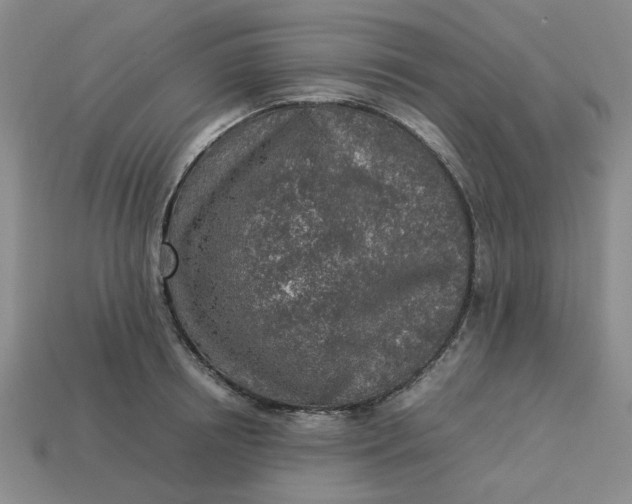 X0000113310850200910051102