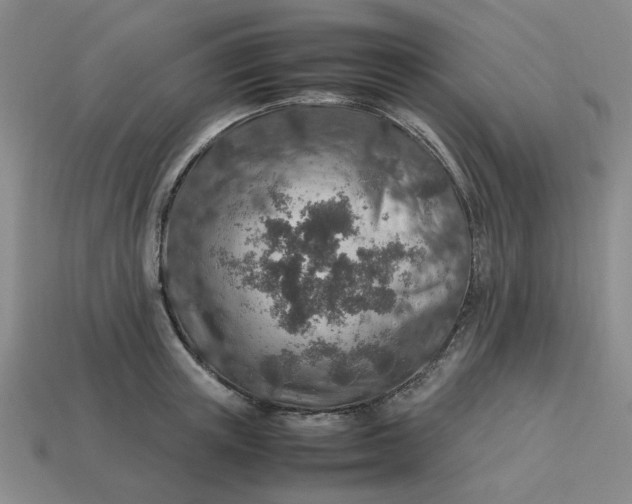 X0000113310851200910051102