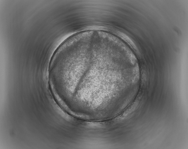 X0000113310852200910051102