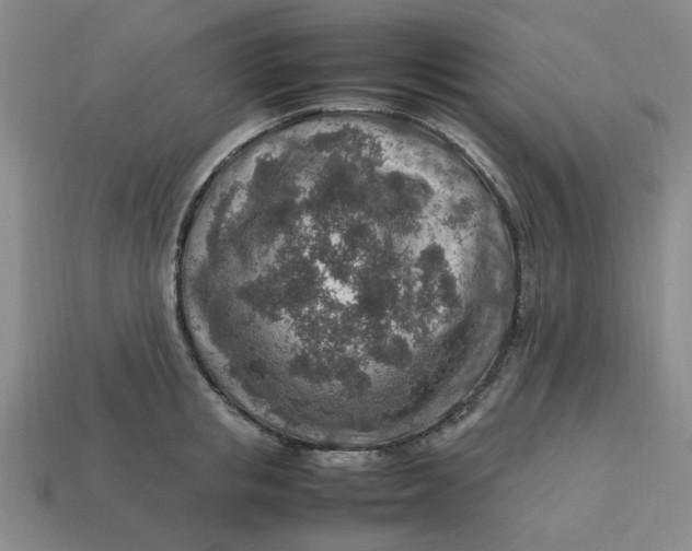 X0000113310853200910051102