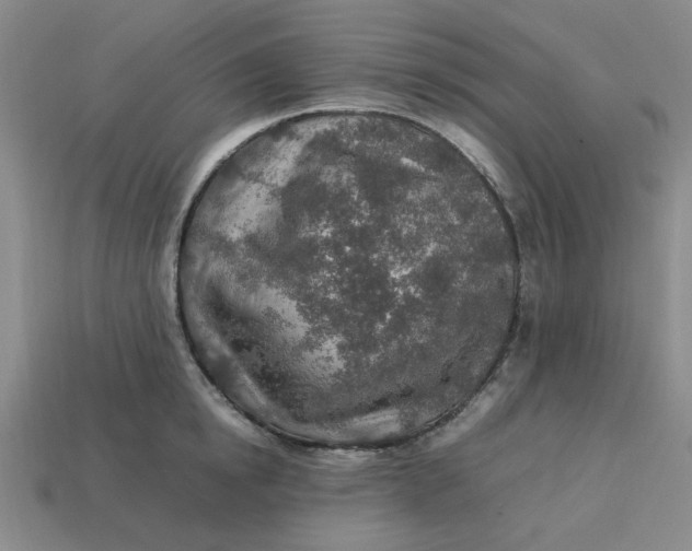 X0000113310854200910051102