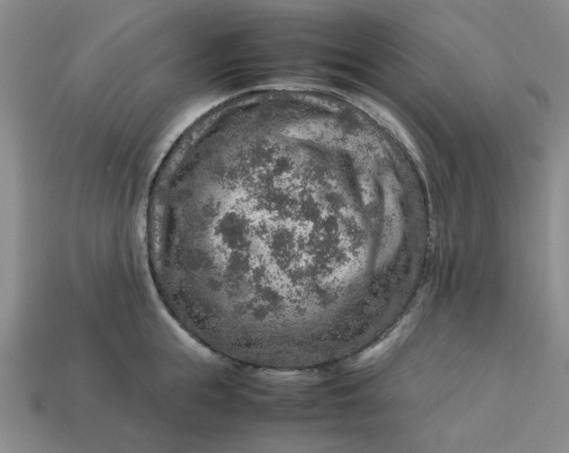 X0000113310855200910051102