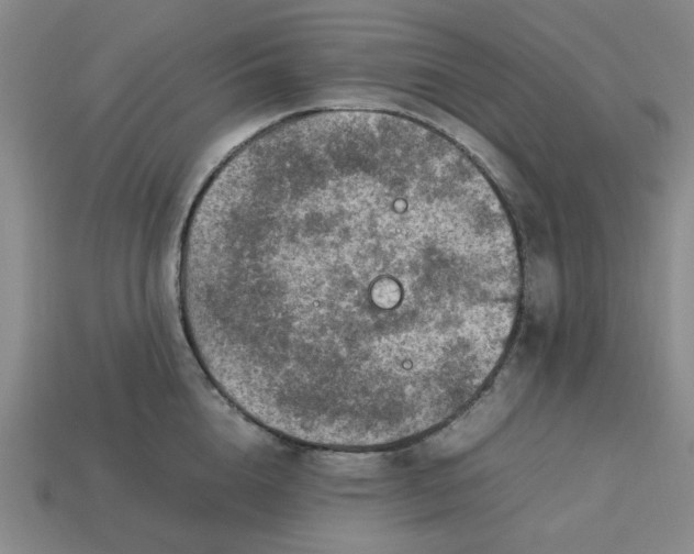 X0000113310856200910051102