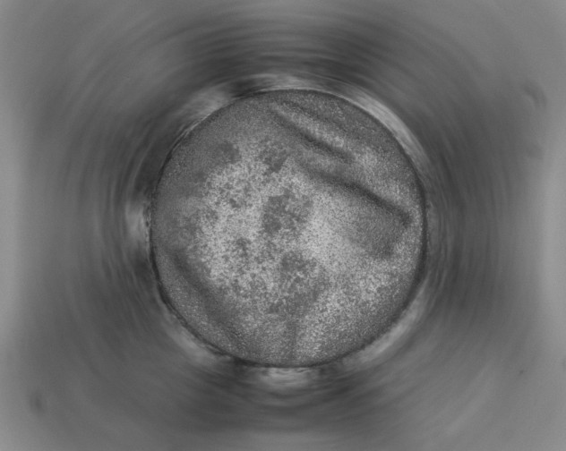 X0000113310857200910051102