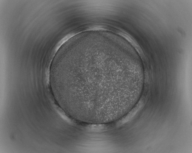 X0000113310858200910051102