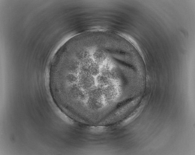 X0000113310859200910051102