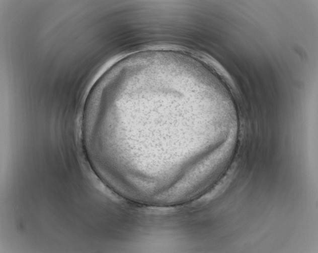 X0000113310860200910051102