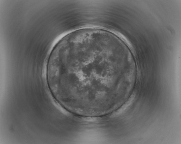 X0000113310862200910051102