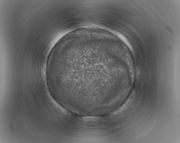 X0000113310863200910051102