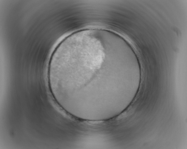 X0000113310864200910051102