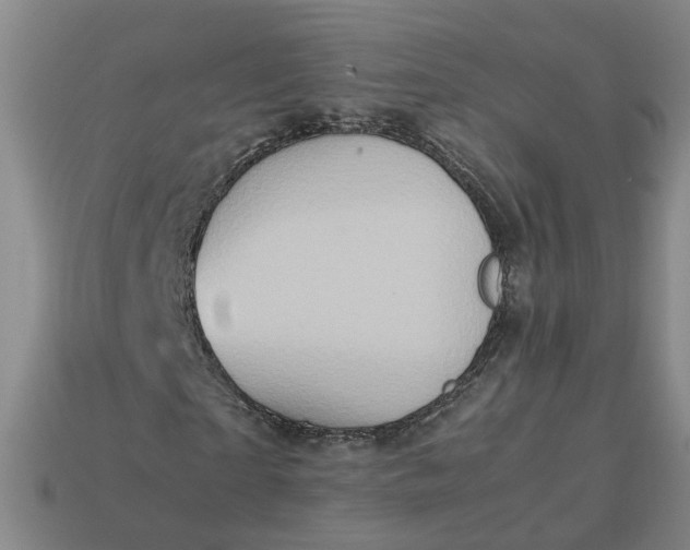 X0000113310865200910051102