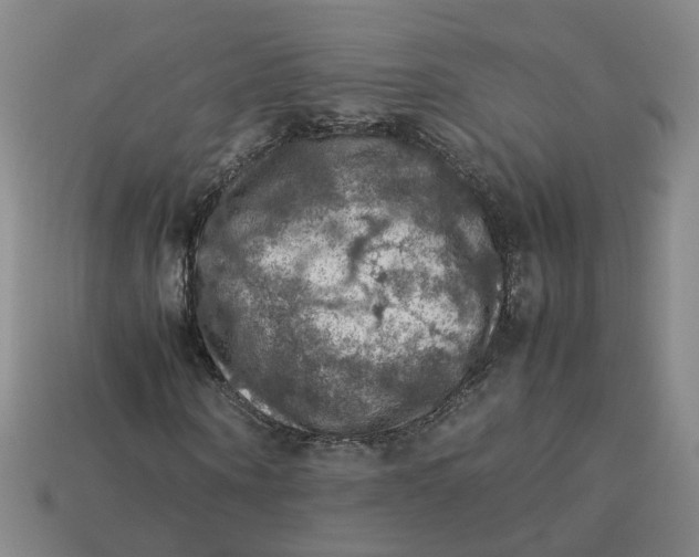 X0000113310866200910051102