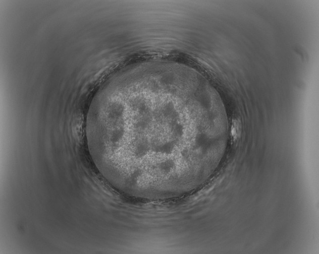 X0000113310867200910051102