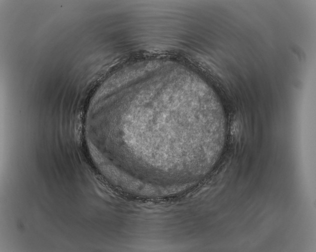 X0000113310868200910051102