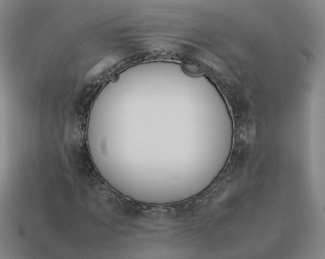 X0000113310869200910051102