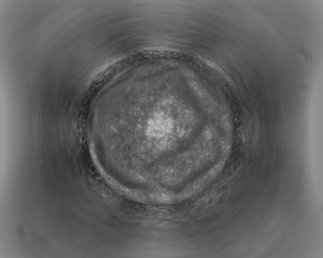 X0000113310870200910051102