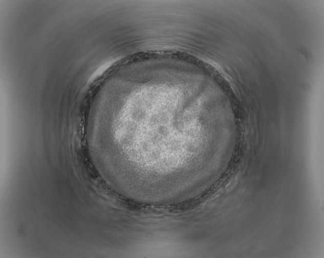 X0000113310871200910051102