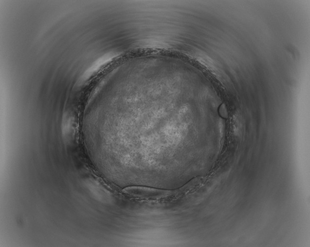 X0000113310872200910051102