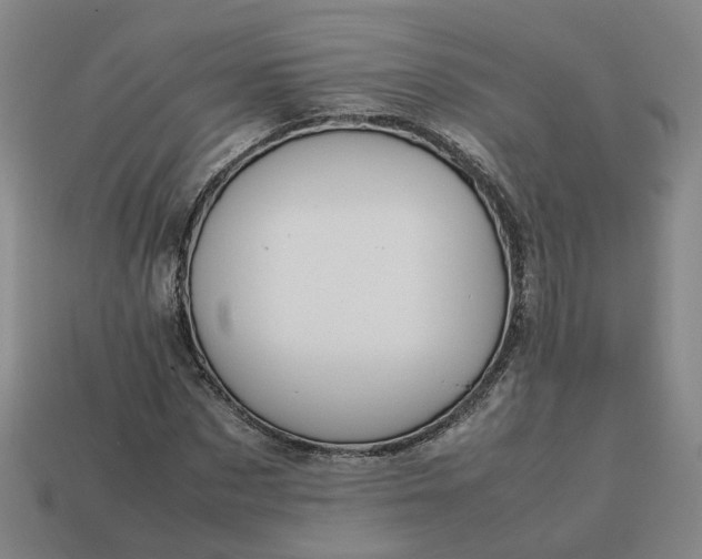 X0000113310873200910051102