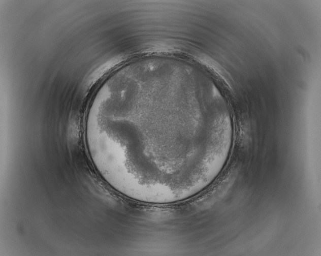 X0000113310874200910051102