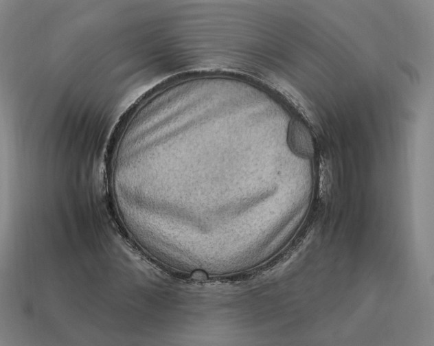 X0000113310876200910051102