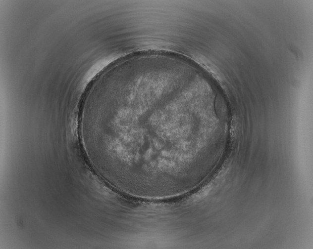 X0000113310877200910051102