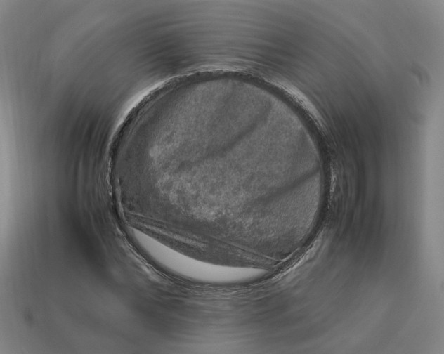 X0000113310878200910051102