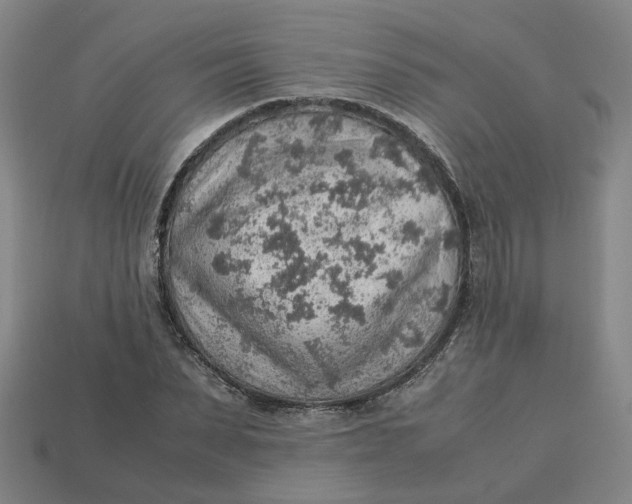 X0000113310879200910051102