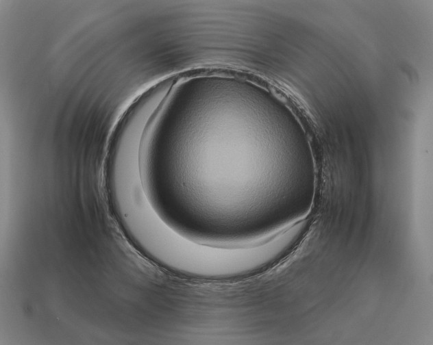 X0000113310880200910051102