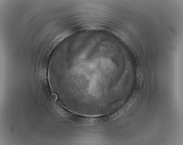 X0000113310881200910051102