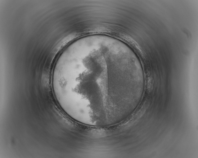 X0000113310882200910051102