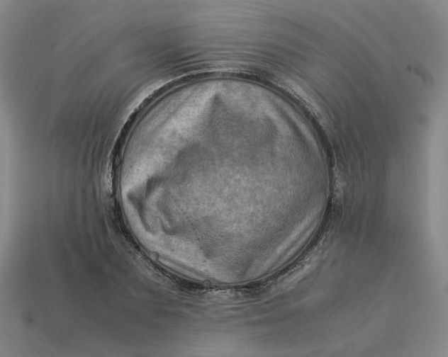 X0000113310883200910051102