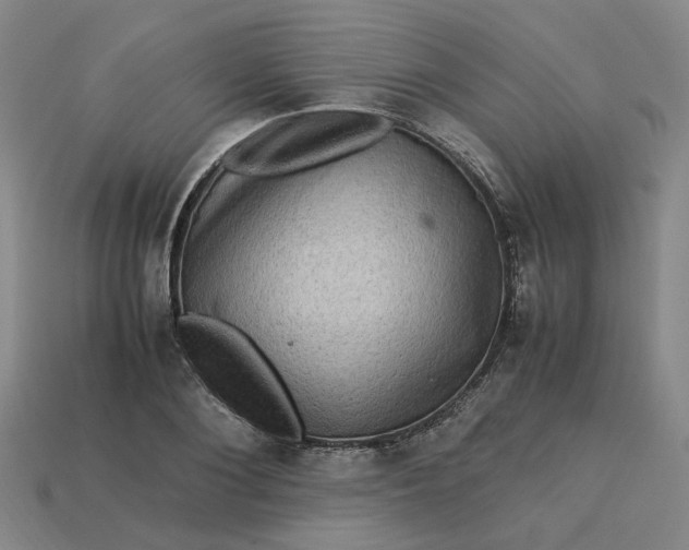 X0000113310884200910051102