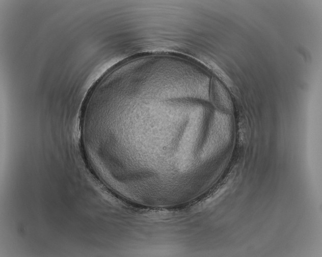 X0000113310885200910051102